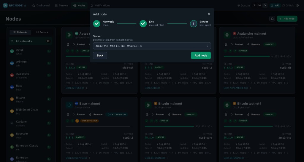 RpcNode panel — Add node wizard, step Server with disk free and total